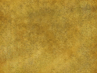 beige digital wallpaper